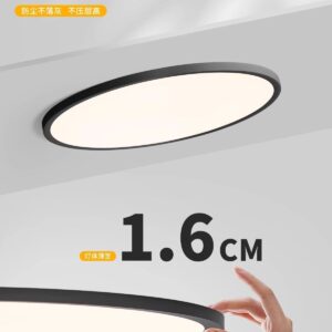 1000017131 Ultra-Thin Flush Mount Ceiling Light